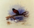 A Nepalese Black Headed Nun In The Branch Of A Tree Archibald Thorburn bird